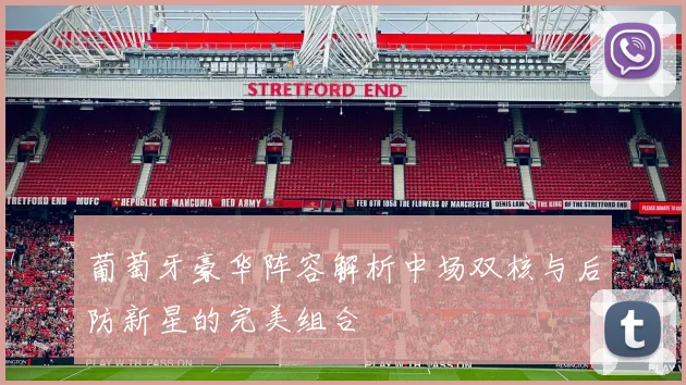 葡萄牙豪华阵容解析中场双核与后防新星的完美组合