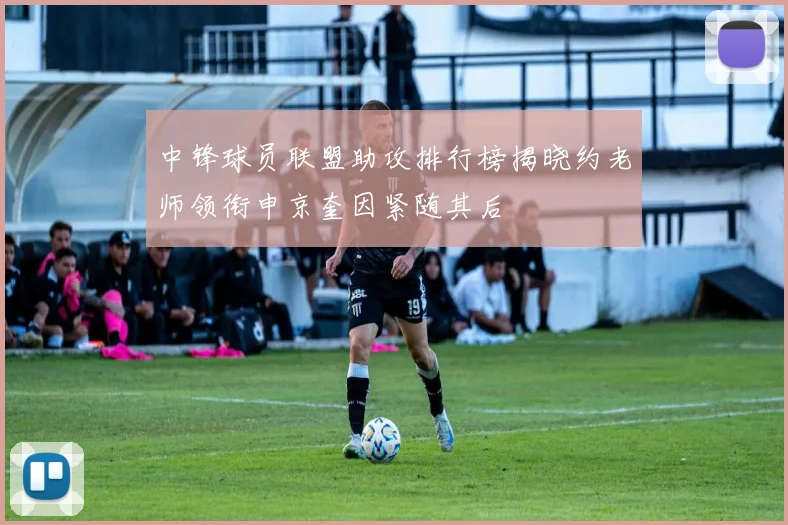 中锋球员联盟助攻排行榜揭晓约老师领衔申京奎因紧随其后