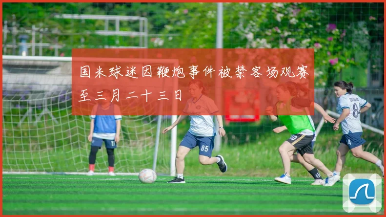 国米球迷因鞭炮事件被禁客场观赛至三月二十三日