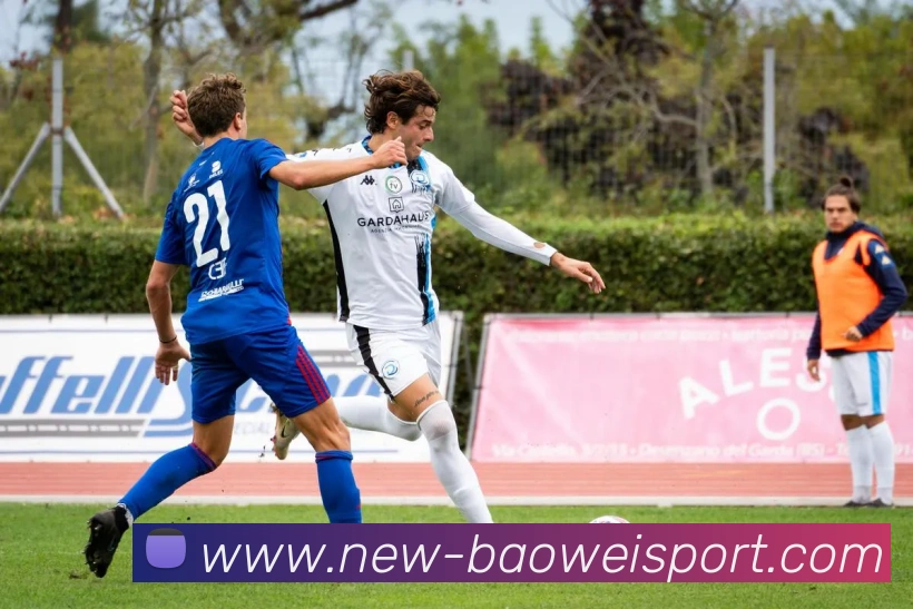 宝威体育平台生态图