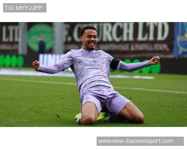 斯旺西队在英冠排名第18考虑解雇主教练艾伦希恩以寻求改变